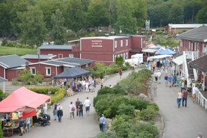 Marknadsdag 2016 överblick 300px Marknadsdag 2016 överblick 300px