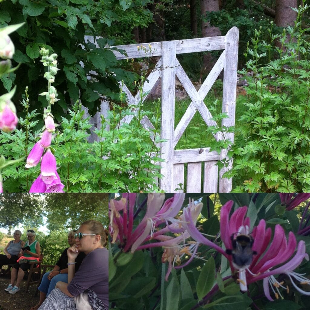 Collage till sommar-retreat 2019 Collage till sommar-retreat 2019