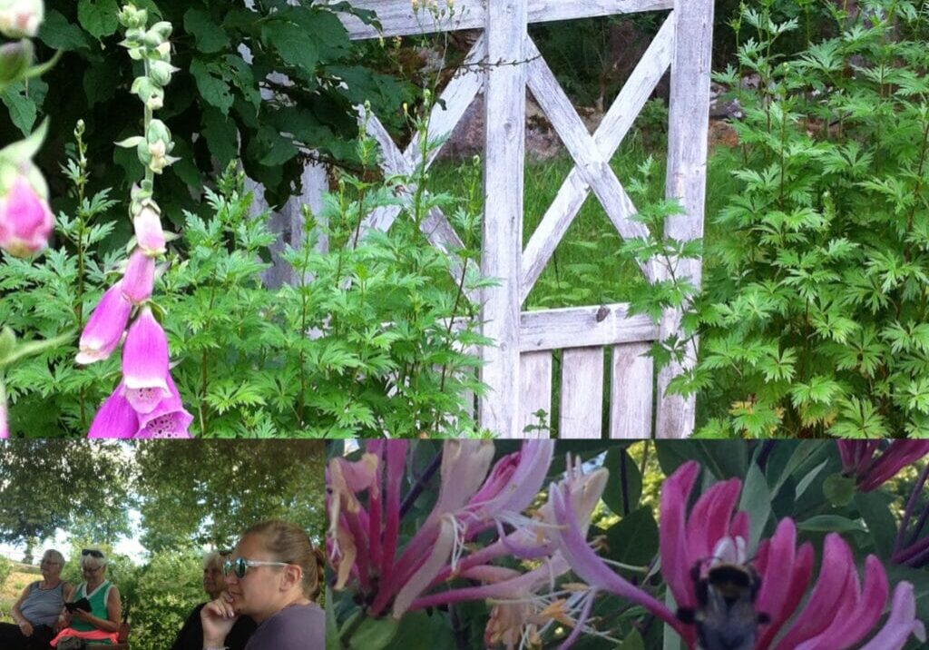 Collage till sommar-retreat 2019 Collage till sommar-retreat 2019